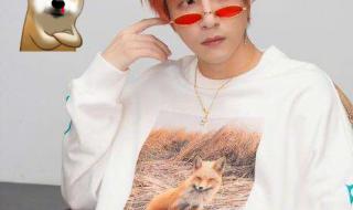 鹿晗上海演唱会红发 鹿晗上海演唱会红发